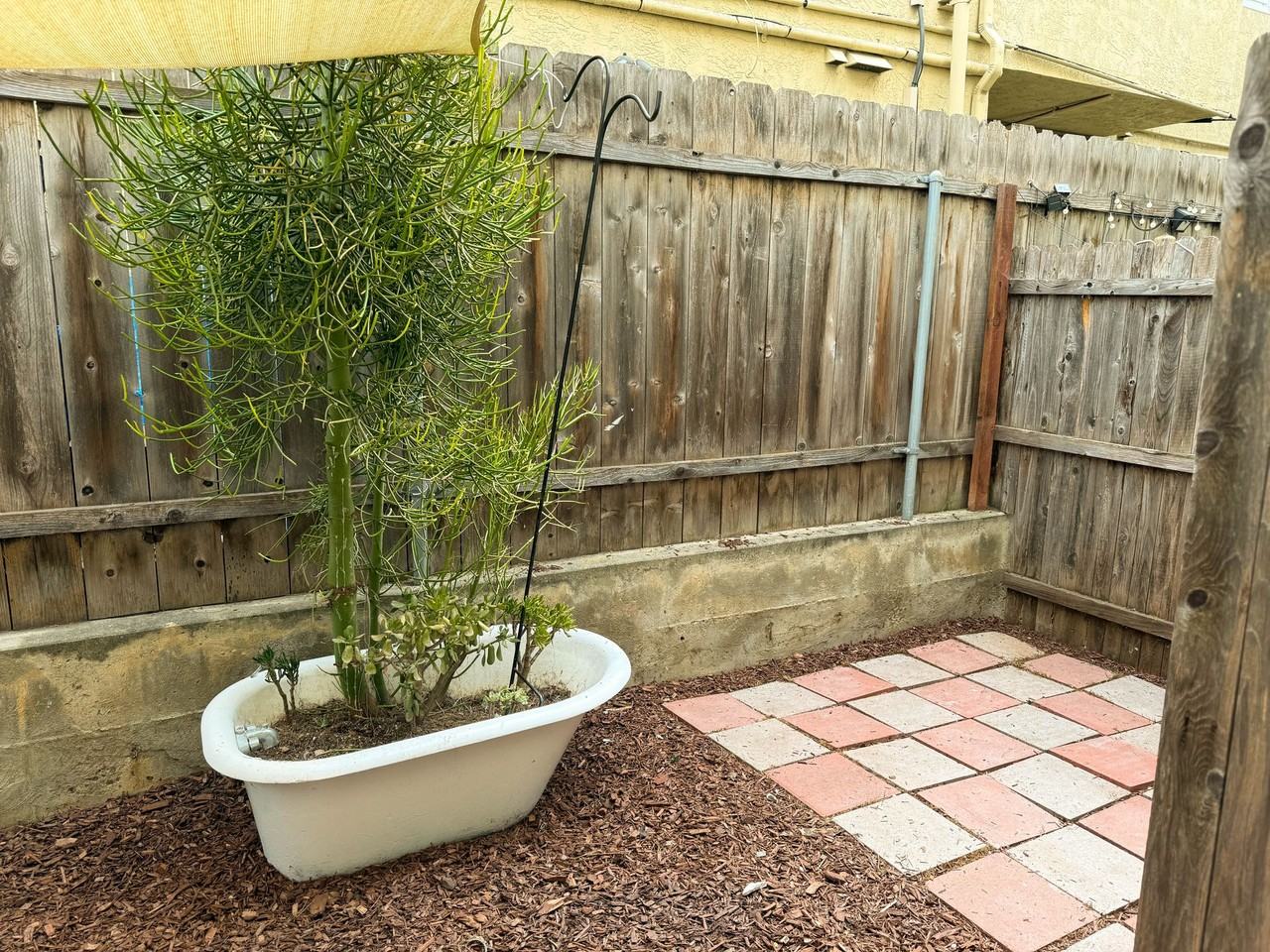 C Street Villas - Photo 6 of 6