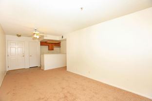 835 South Brookhurst Street - Photo 1 of 1