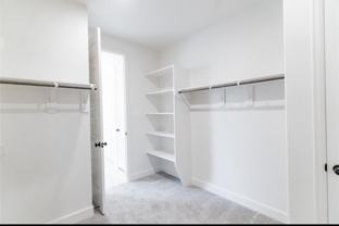 14814 Raleighs Meadow Ct - Photo 1 of 1