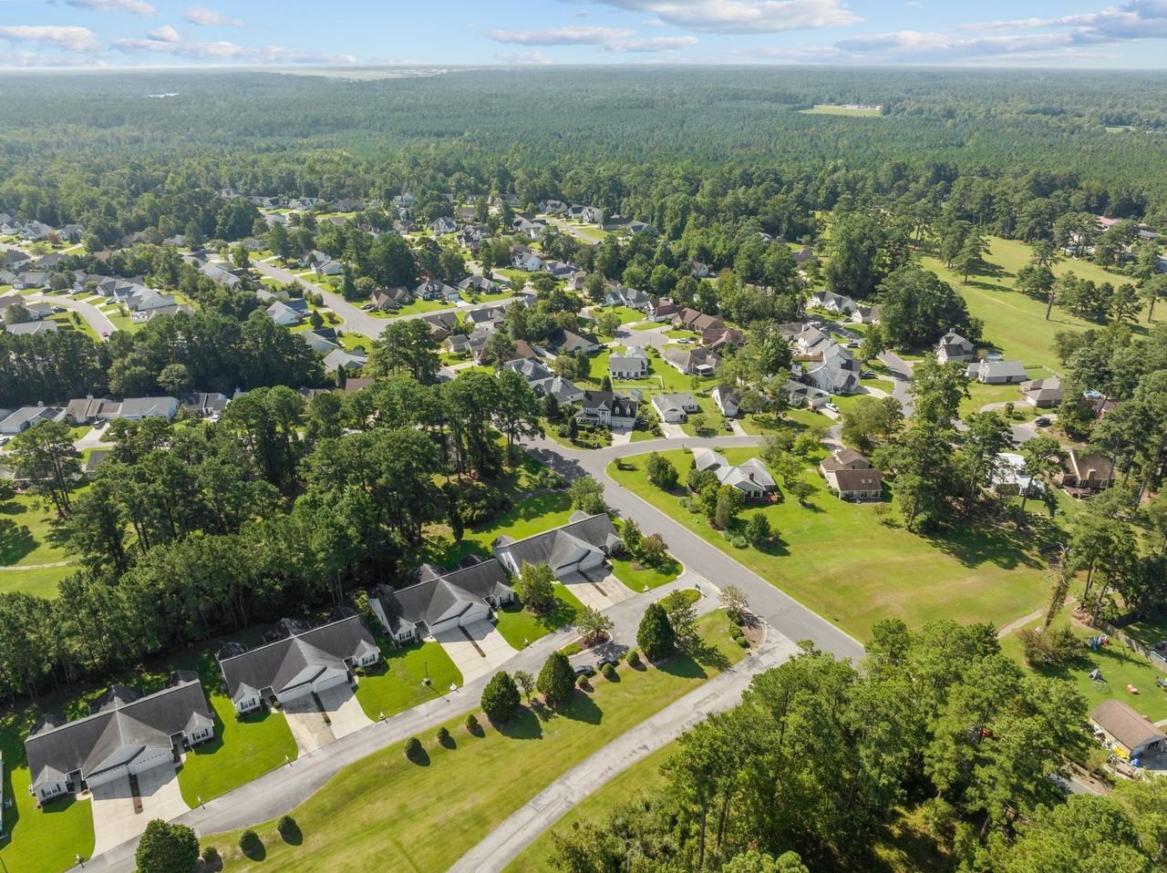 102 Tiger Woods Pl - Photo 3 of 50