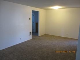 1337 Laura St - Photo 1 of 1