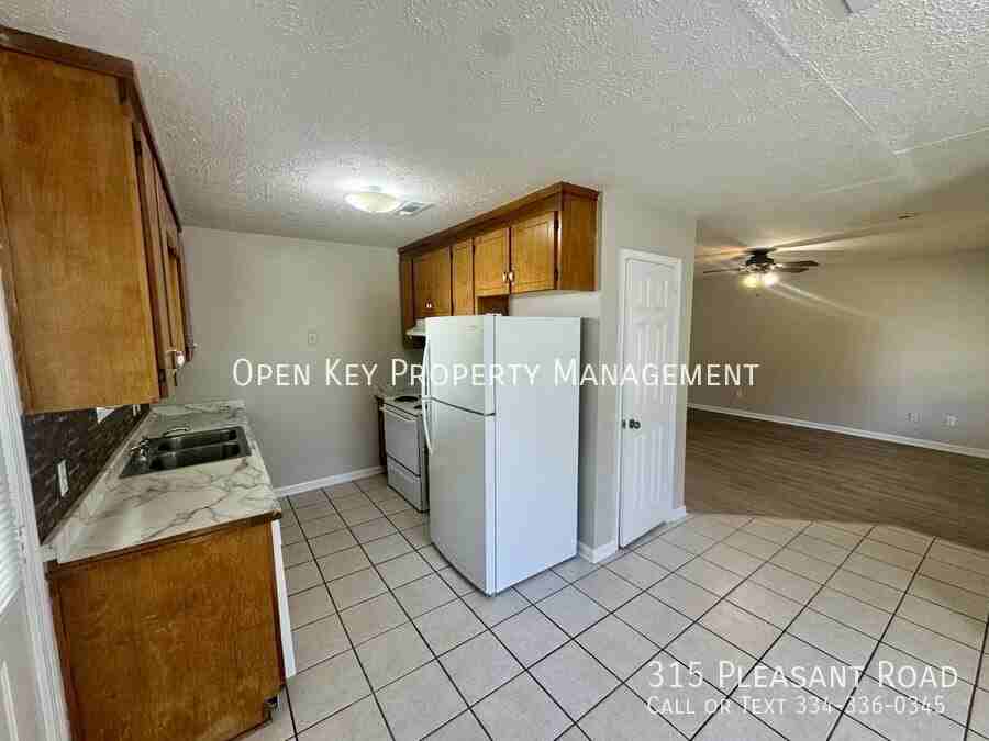 315 Pleasant Rd - Photo 3 of 18