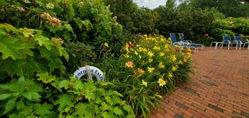 featured image of 22 Huckleberry Ln