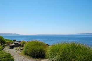 10203 47th Ave Sw #B12 - Photo 1 of 1