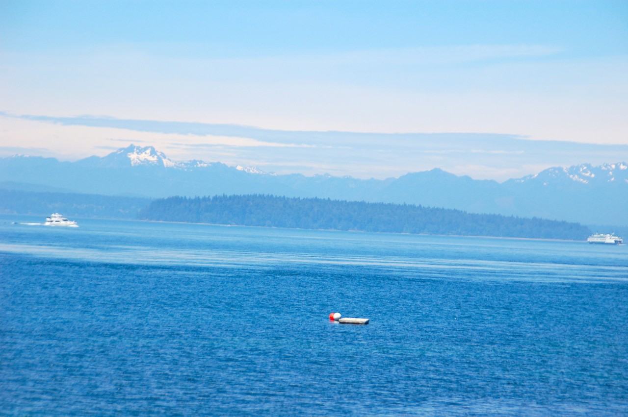 10203 47th Ave Sw #B12 - Photo 2 of 25