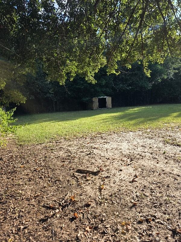 207 Athens St - Photo 3 of 20