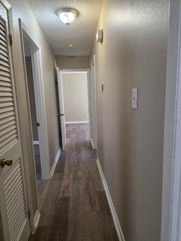 207 Athens St - Photo 6 of 20