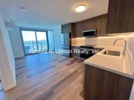 featured image of 1515 Liona St #4205