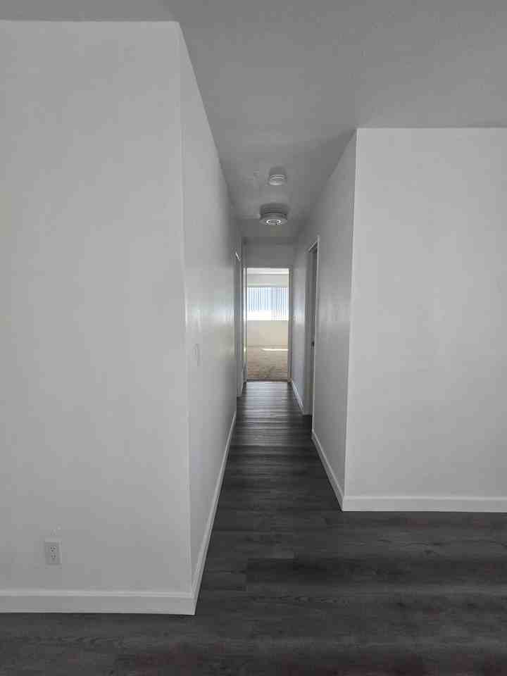 2146 - Photo 7 of 21