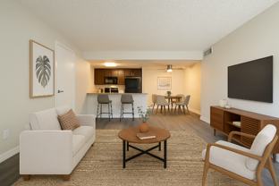 241 Weston Cir - Photo 1 of 1