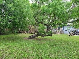 301 Primrose Dr - Photo 1 of 1