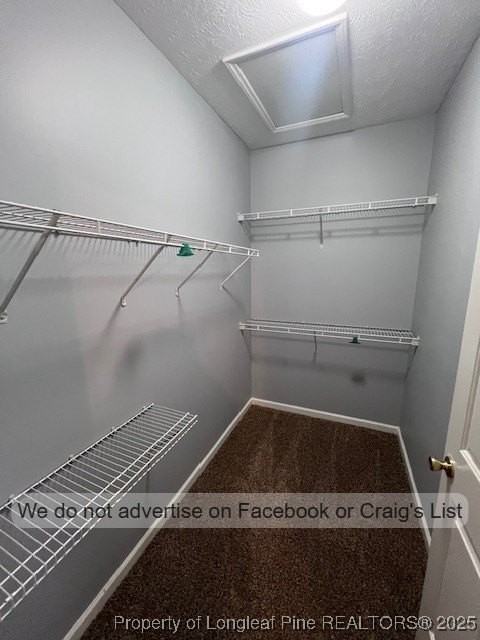 3149 Wisteria Ln Unit 203 #203 - Photo 6 of 11