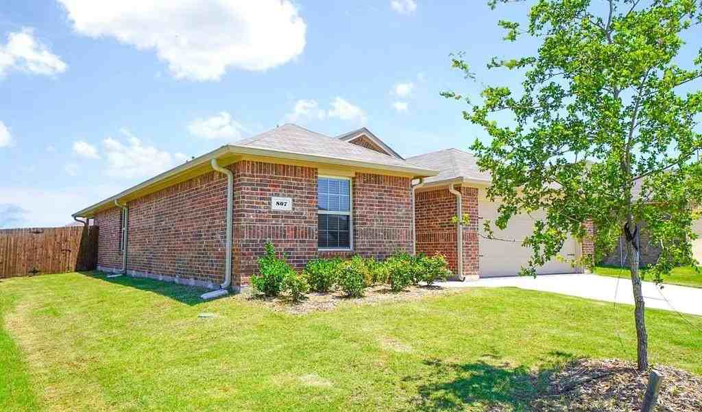 807 Old Bluff Ln - Photo 2 of 28