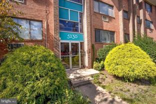 5230 N Capitol St Nw Apt 101 #101 - Photo 1 of 1