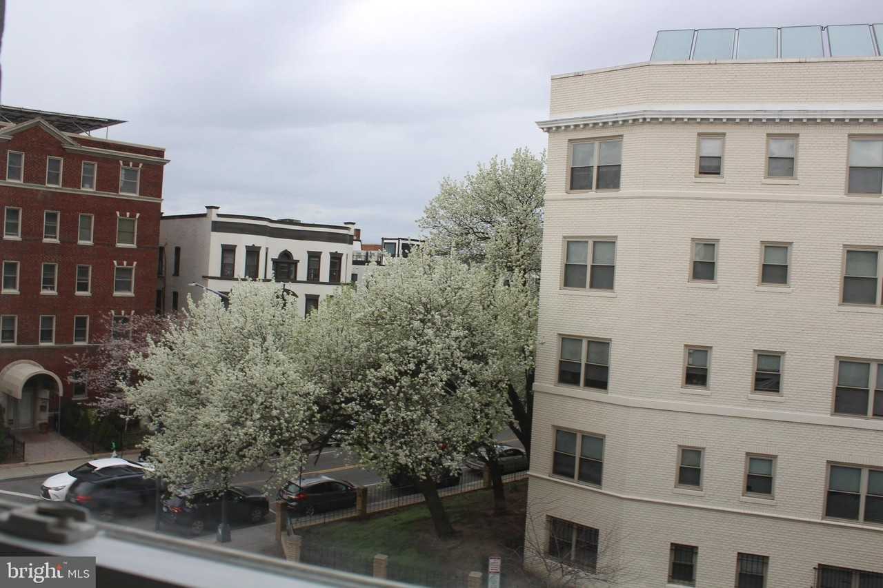 1204 Monroe Street Northwest #3 - Photo 2 of 13