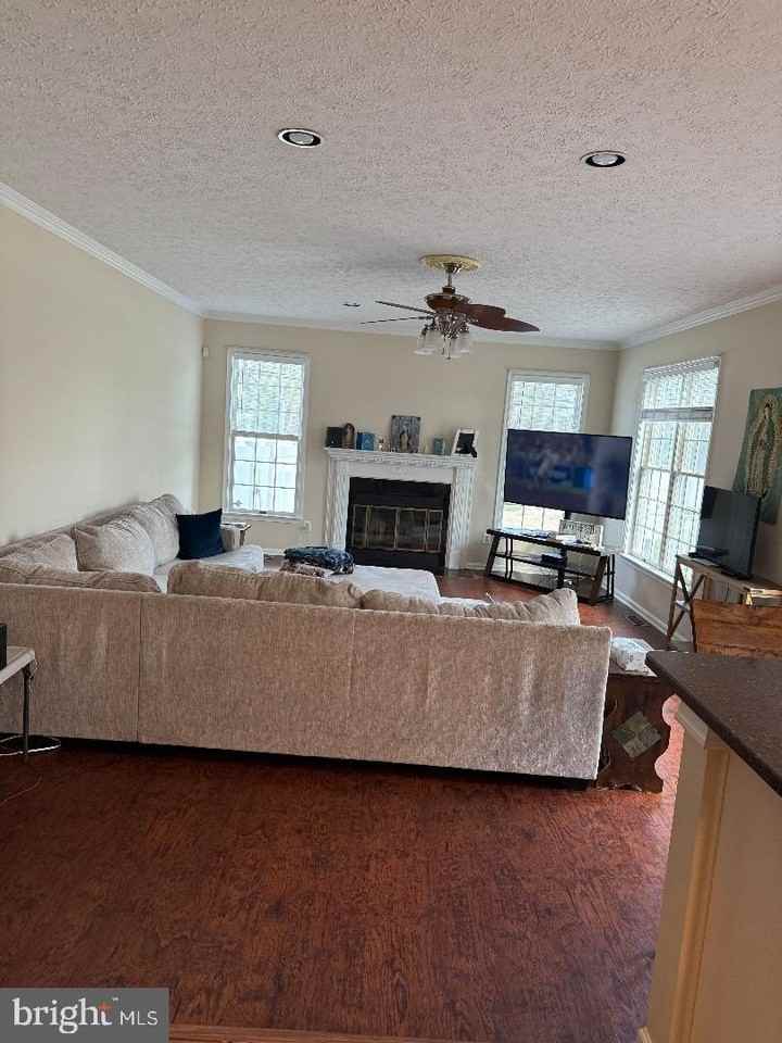 101 Tarks Ln - Photo 6 of 20