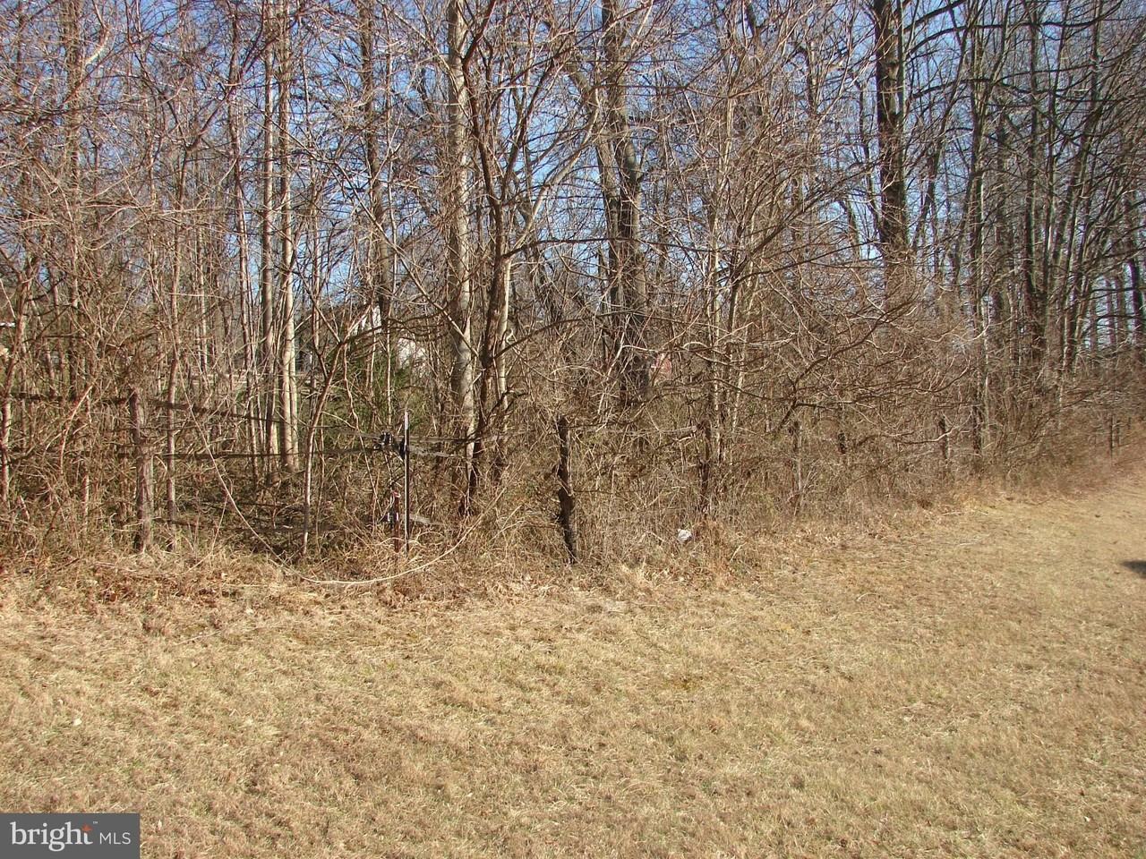 2809 Bel Air Rd - Photo 4 of 12