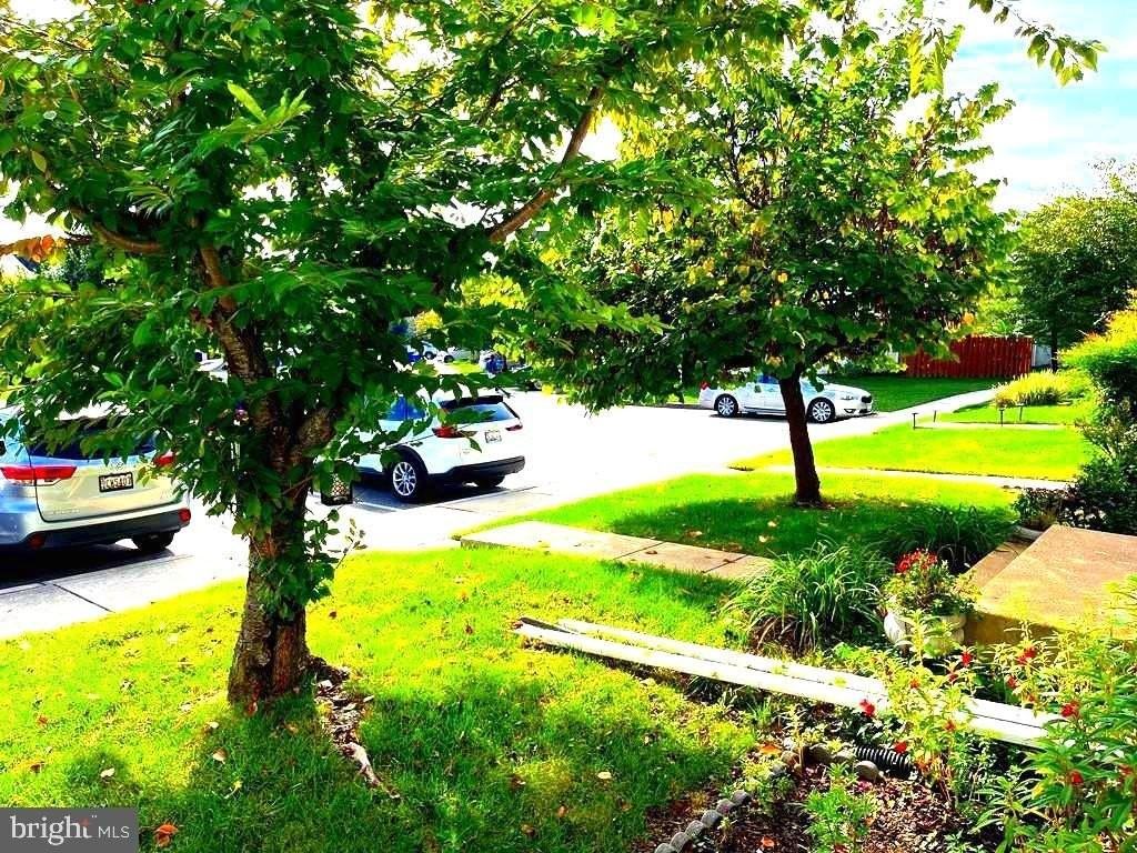 3269 Halcyon Ct - Photo 5 of 37