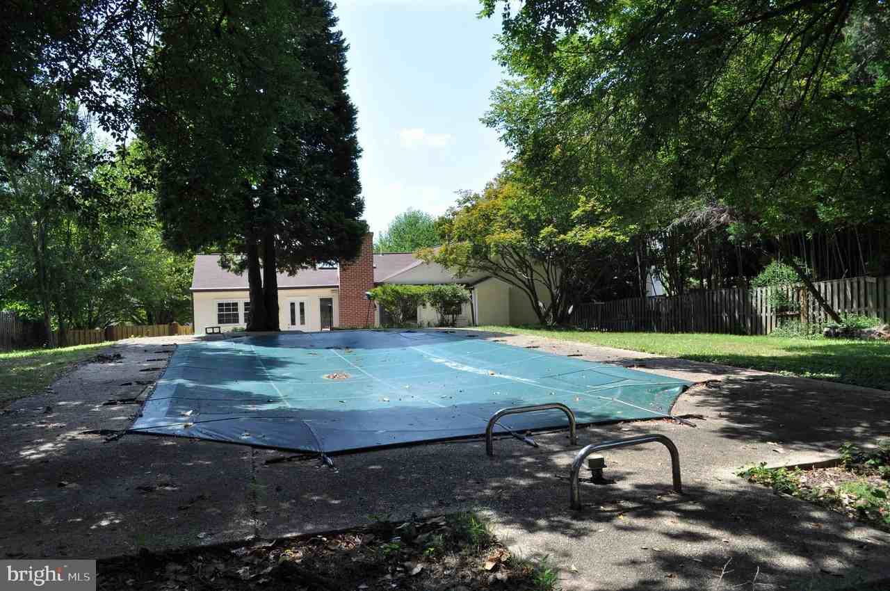 4302 Locust Lane - Photo 3 of 25