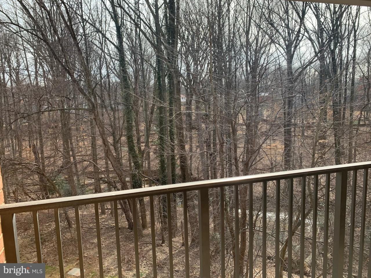 884 College Parkway #303 - Photo 3 of 16