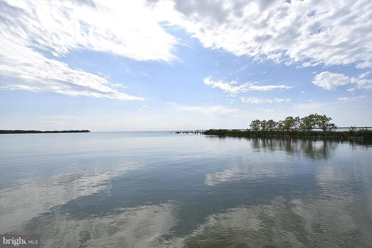 10493 Miracle House Cir - Photo 2 of 18