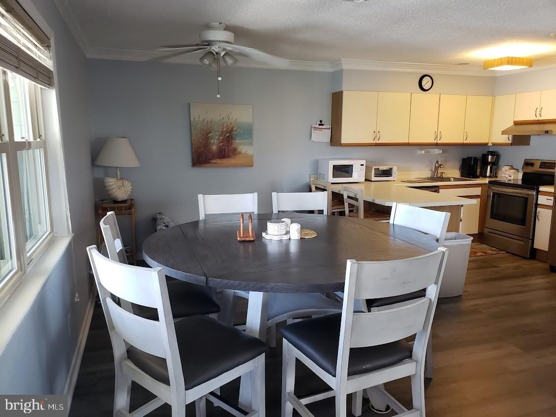 12405 Assawoman Dr Unit N6 #N6 - Photo 7 of 11