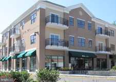 255 Nassau St Unit 301 #301 - Photo 1 of 1