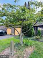 featured image of 60 Jacob Ct