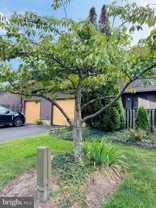 60 Jacob Ct - Photo 1 of 1