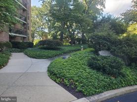 1375 Pershing Blvd Apt 810 #810 - Photo 1 of 1
