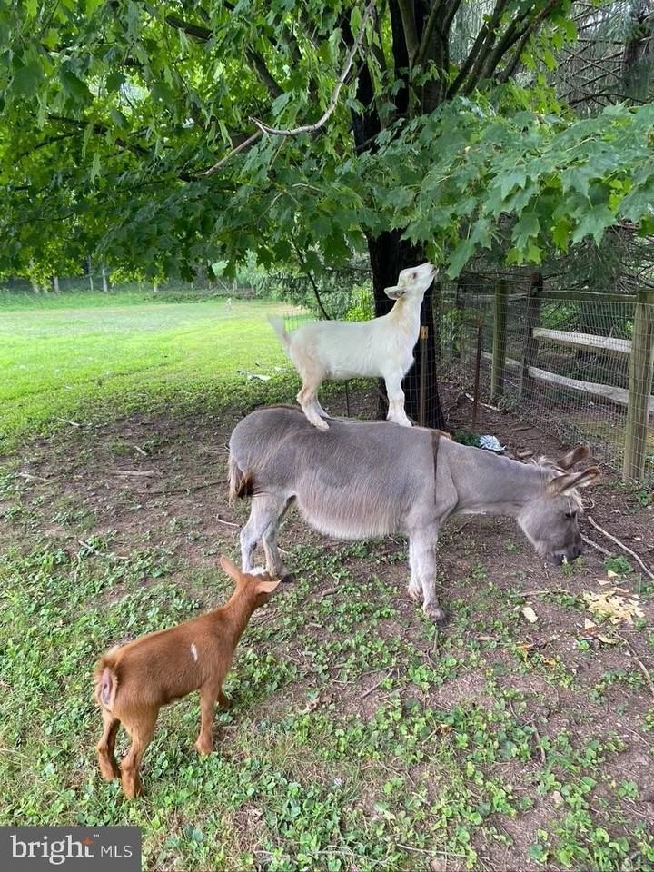 232 Wrights Road - Photo 5 of 30