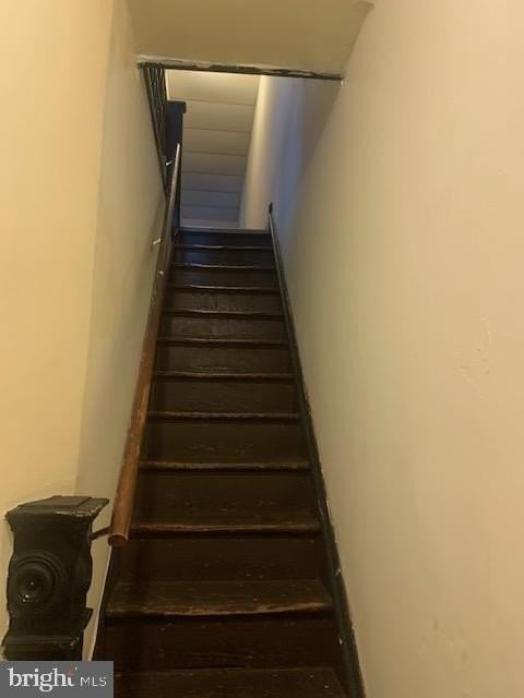 1224 S Markoe St 2nd Fl #2ndFL - Photo 2 of 13