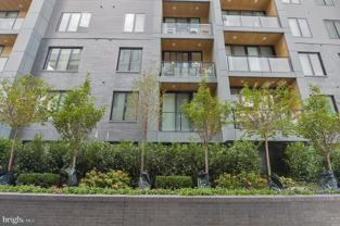 236 W Thompson St Apt B303 #B303 - Photo 1 of 1