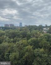 4600 S Four Mile Run Dr Apt 920 #920 - Photo 1 of 1