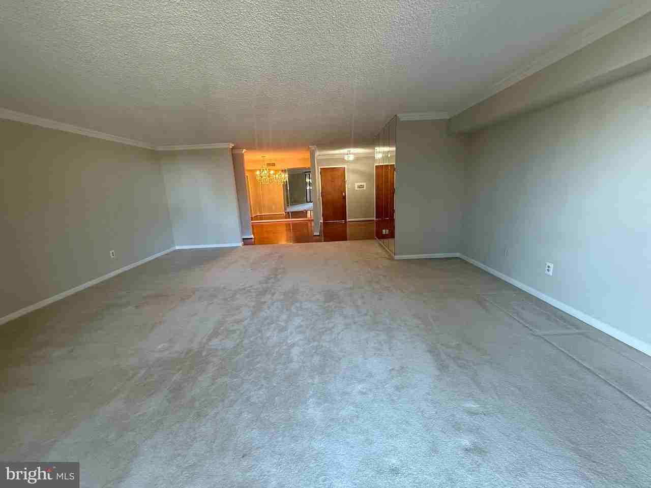 1101 South Arlington Ridge Road #214 - Photo 7 of 41