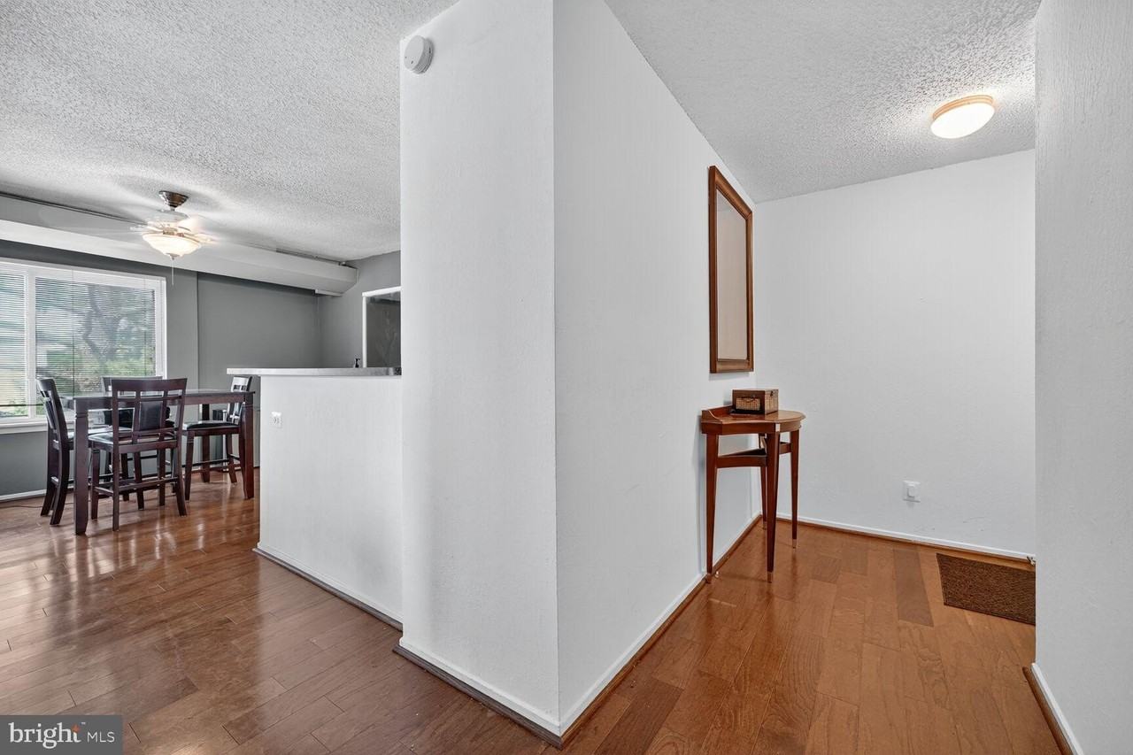 60 South Van Dorn Street #519 - Photo 6 of 10