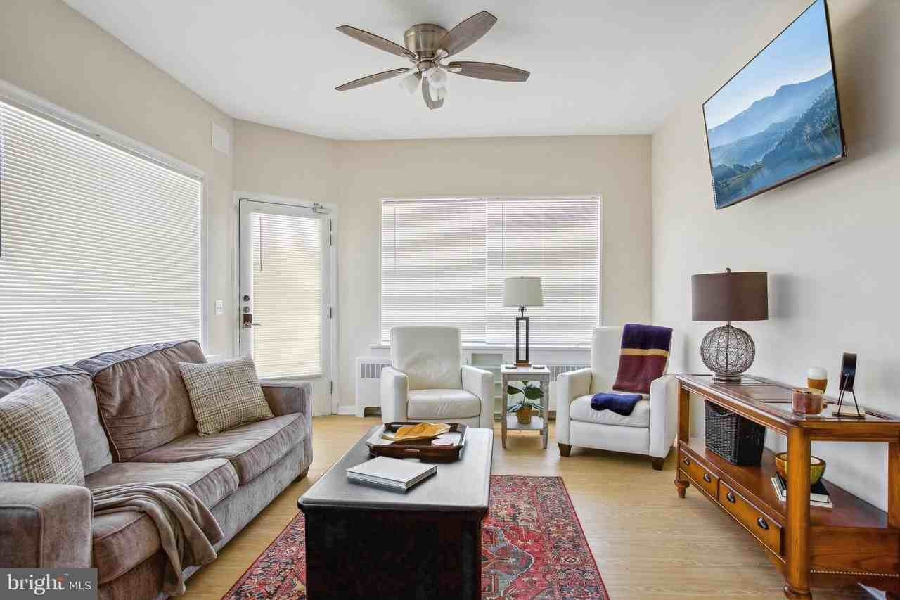 1900 Princess Anne Street #6 - Photo 4 of 19