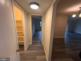 5903 Mount Eagle Dr Apt 917 #917 - Photo 1 of 1