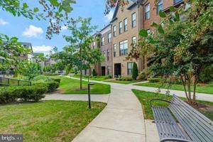 featured image of 12258 Sessile Cmns