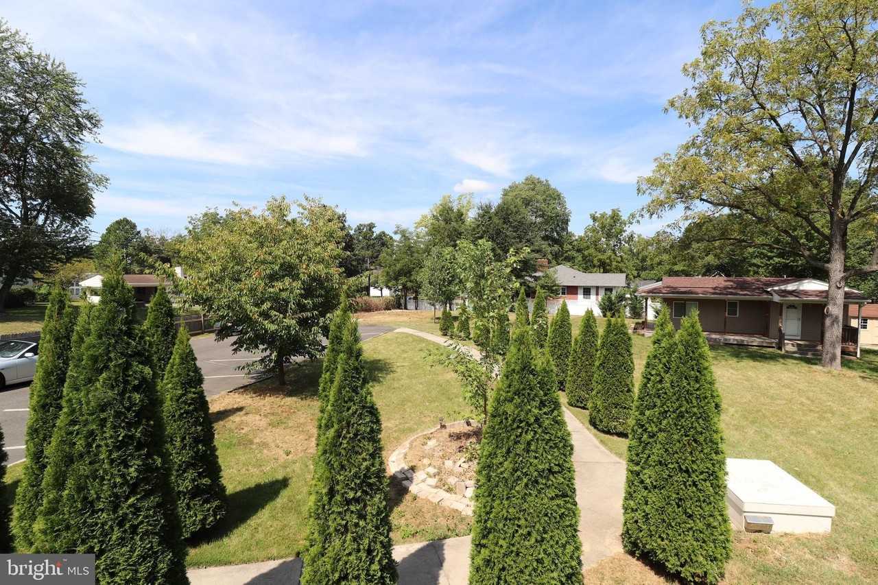 4006 Buckman Rd - Photo 7 of 33