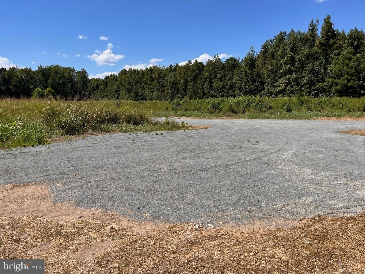 8641 Sandy Beach Ln - Photo 4 of 31