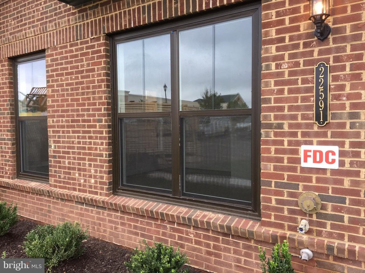 22591 Amendola Ter - Photo 6 of 39