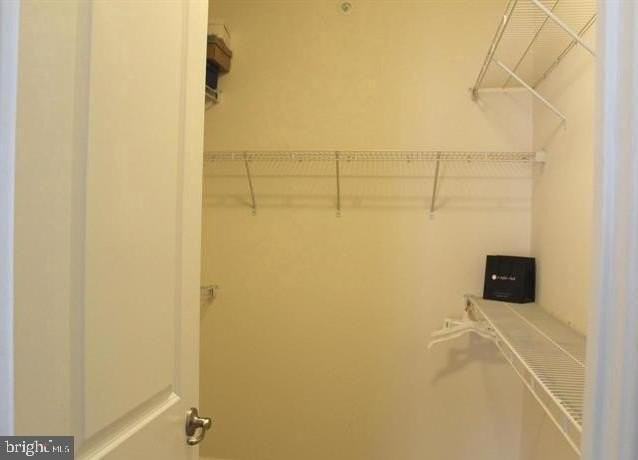 24676 Footed Ridge Ter - Photo 7 of 17