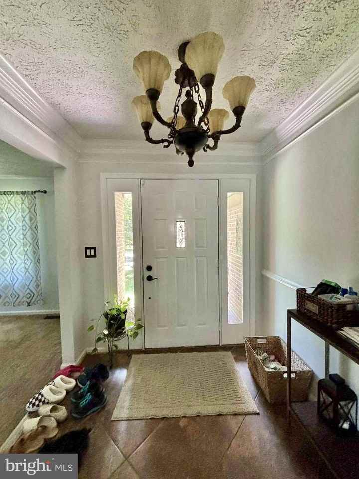 1007 Blackbeard Dr - Photo 4 of 15