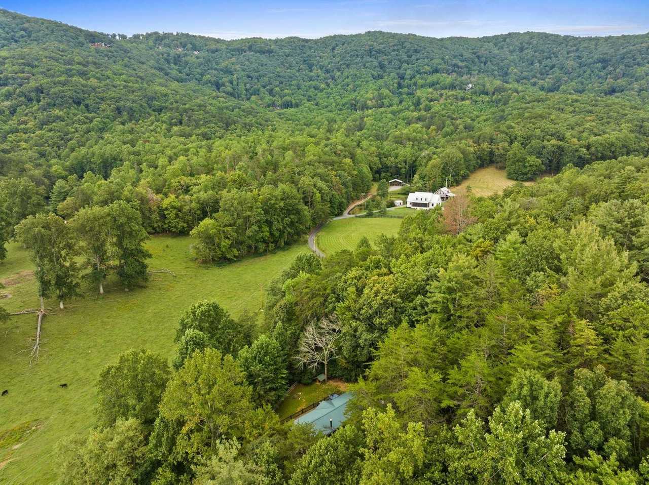 1390 Snake Nation Rd #1310911P - Photo 6 of 35