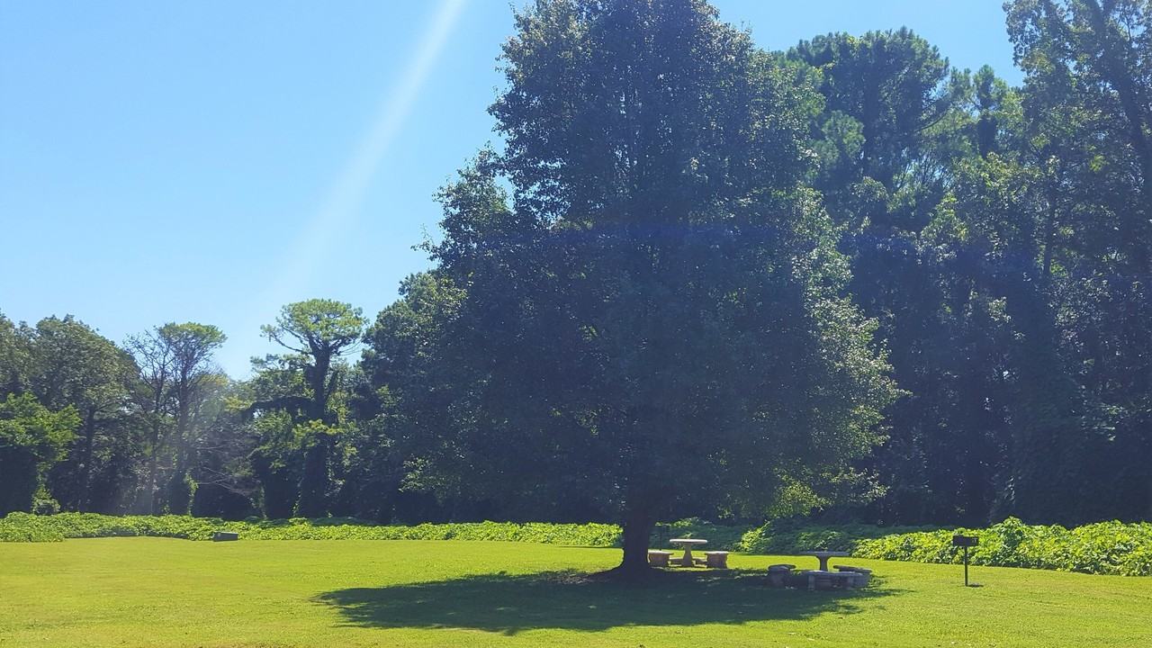 Pinehurst Apartments - Photo 3 of 13