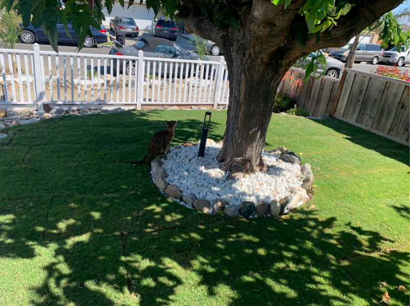 3196 Durant Ave - Photo 2 of 10