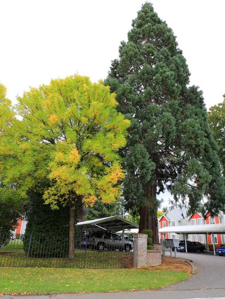 1212 Golf Club Rd Se #N2 - Photo 5 of 15