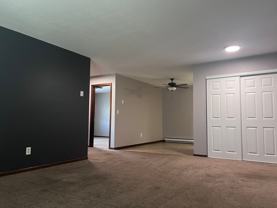 Swan III - Photo 1 of 1