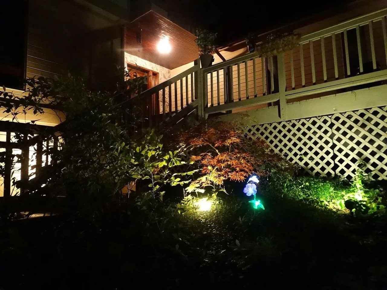 3533 Woodland Trail - Photo 3 of 33